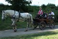 IMG_9730