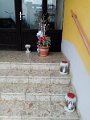 IMG_20191123_140007